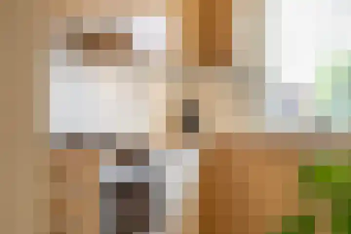 Schoonenburg 100 Ede thumbnail 9