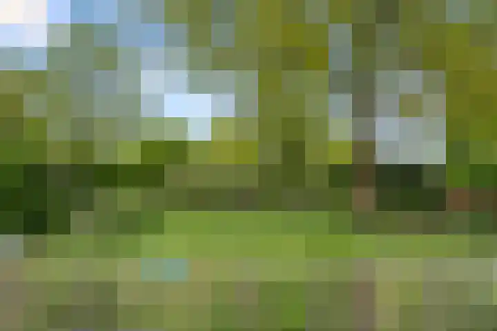 Schoonenburg 116 Ede thumbnail 32