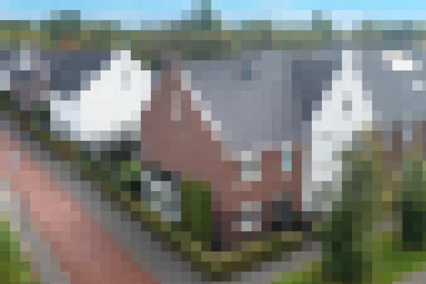 Schoonenburg 198 Ede