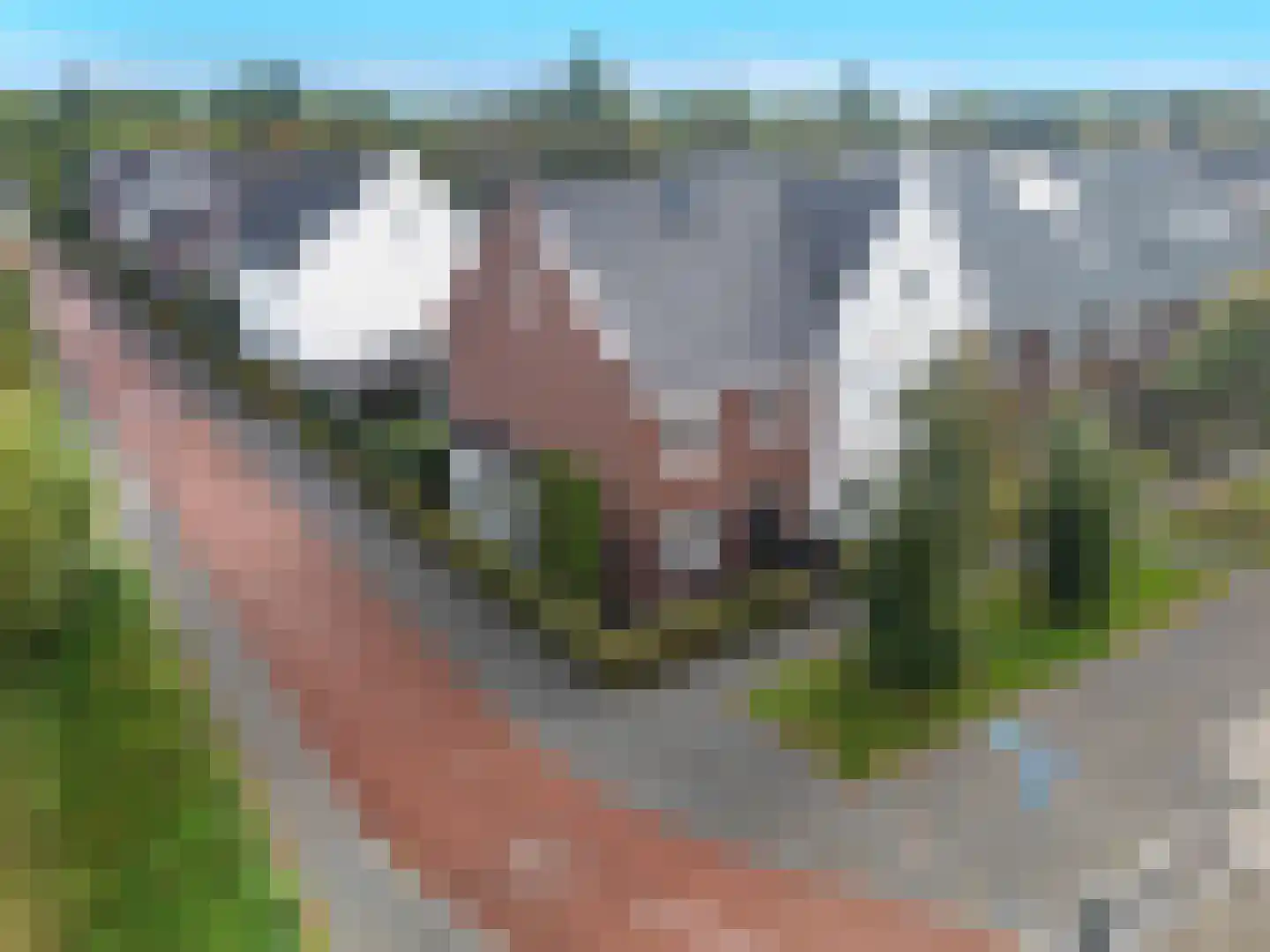 Schoonenburg 198 Ede thumbnail 40