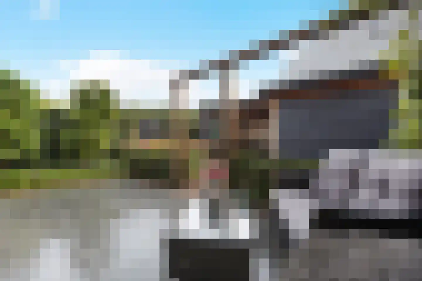 Schoonenburg 198 Ede thumbnail 7