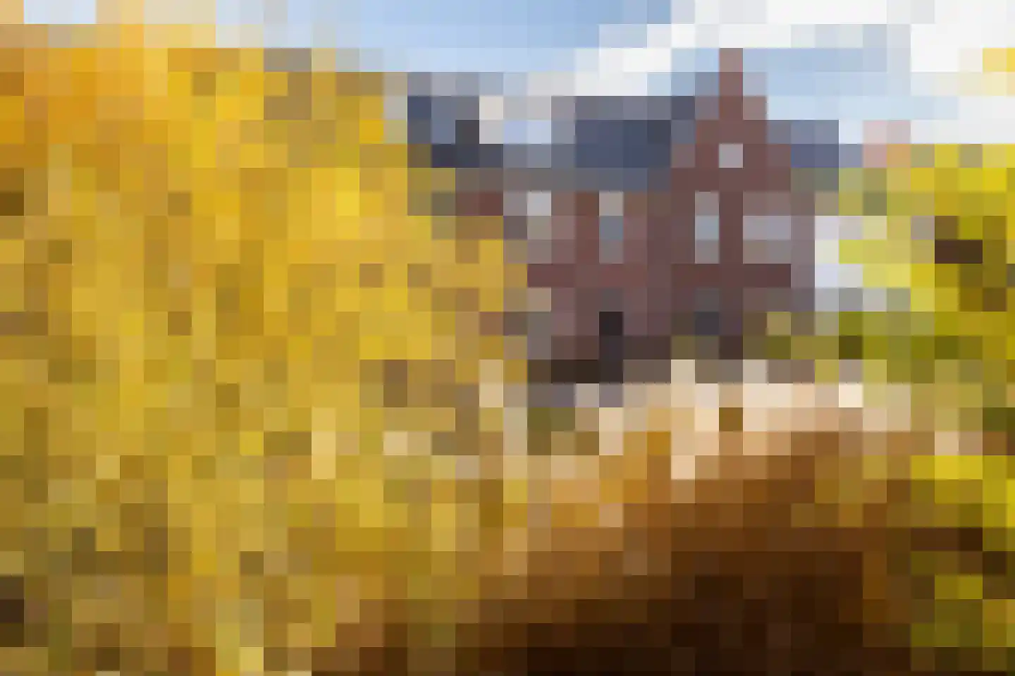 Schoonenburg 216 Ede