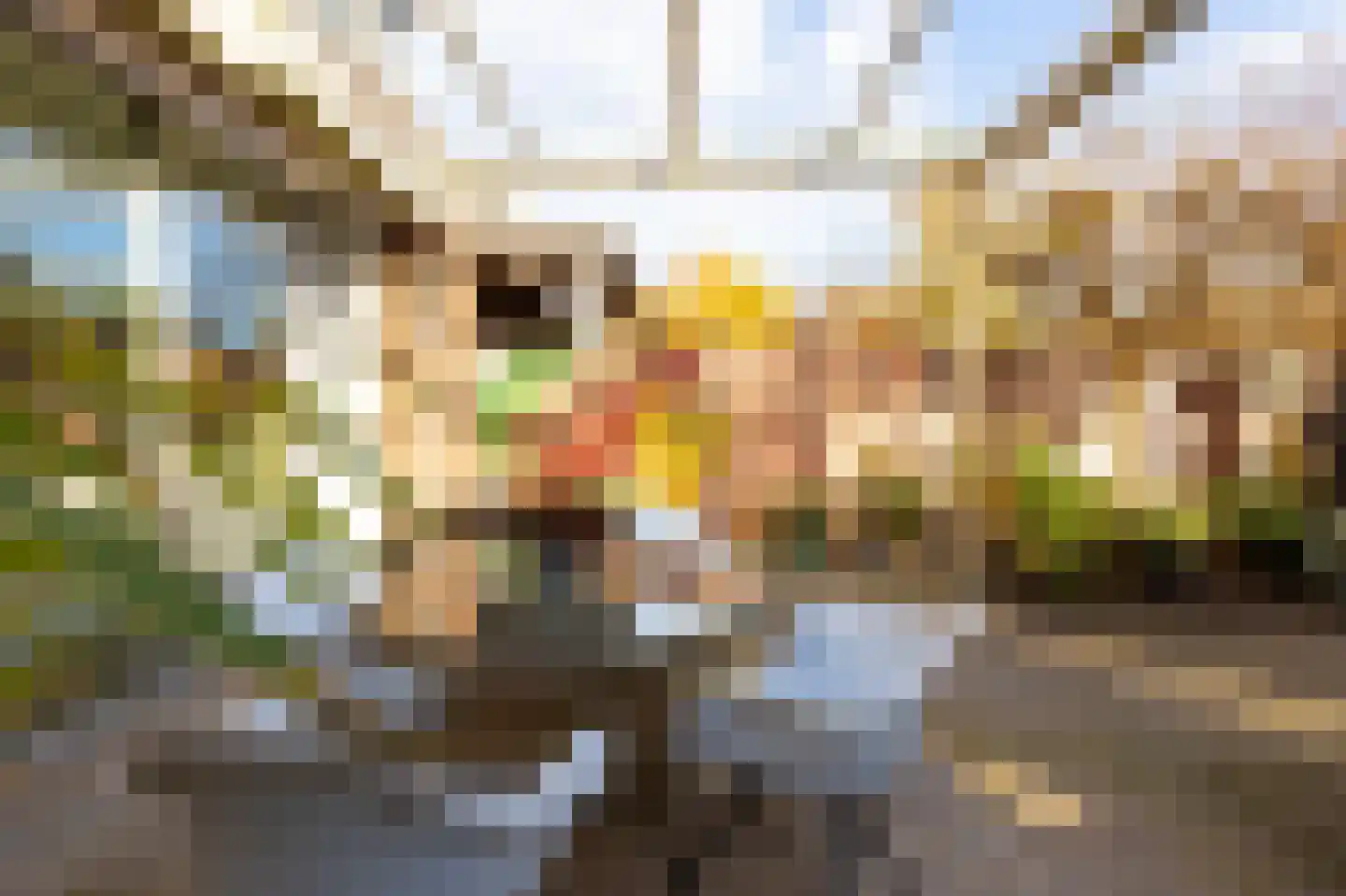Schoonenburg 216 Ede thumbnail 29
