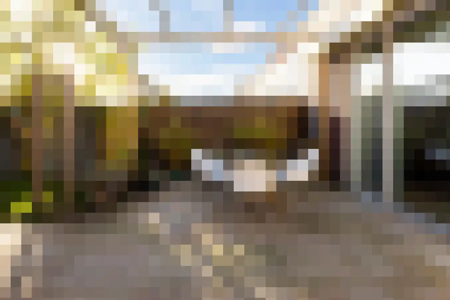 Schoonenburg 216 Ede thumbnail 30