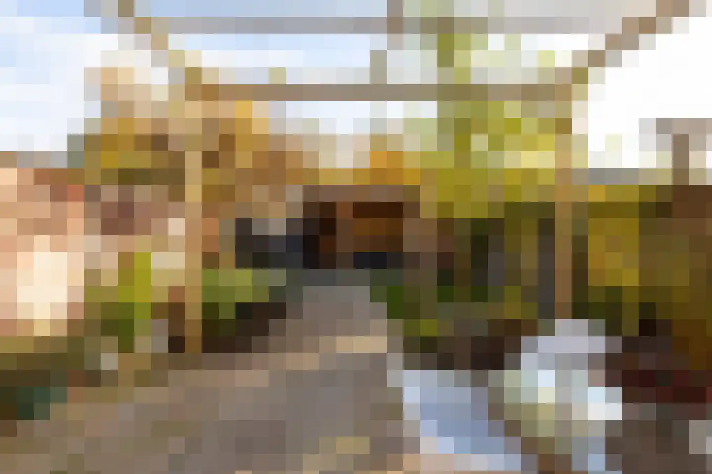 Schoonenburg 216 Ede thumbnail 31