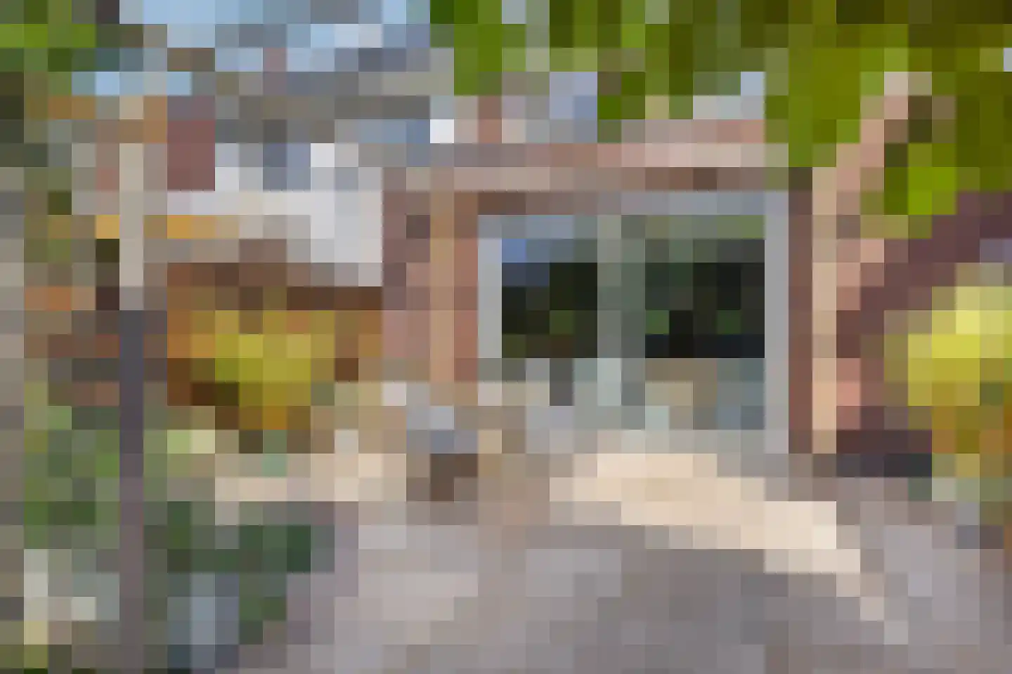 Schoonenburg 216 Ede thumbnail 34