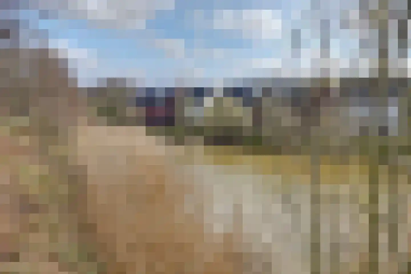 Schoonenburg 216 Ede thumbnail 38