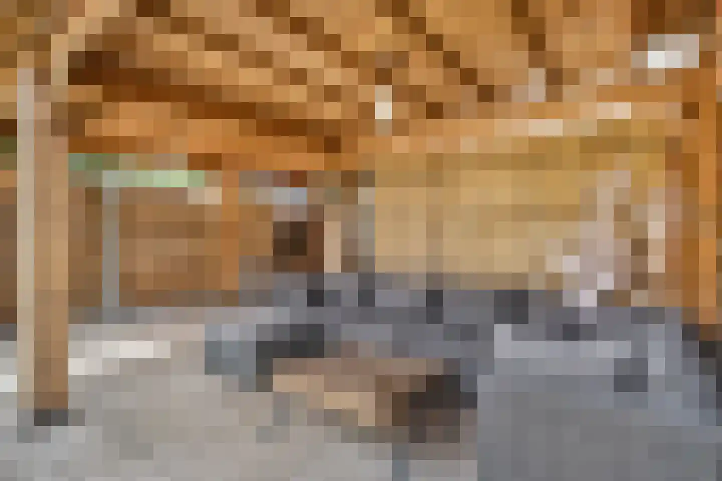 Schoonenburg 216 Ede thumbnail 38