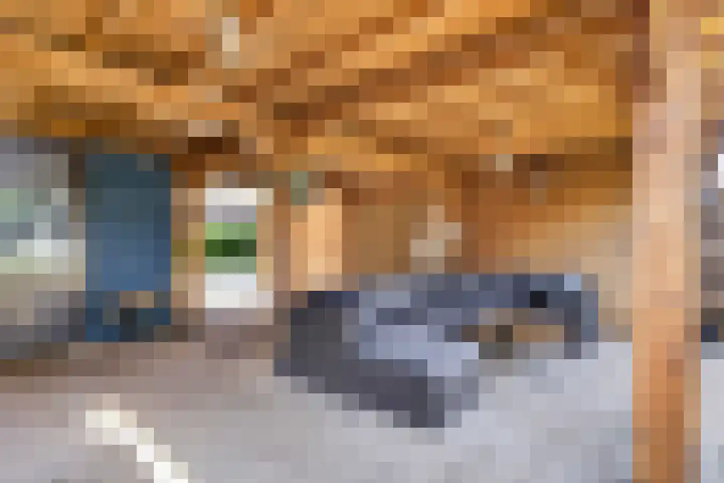 Schoonenburg 216 Ede thumbnail 41