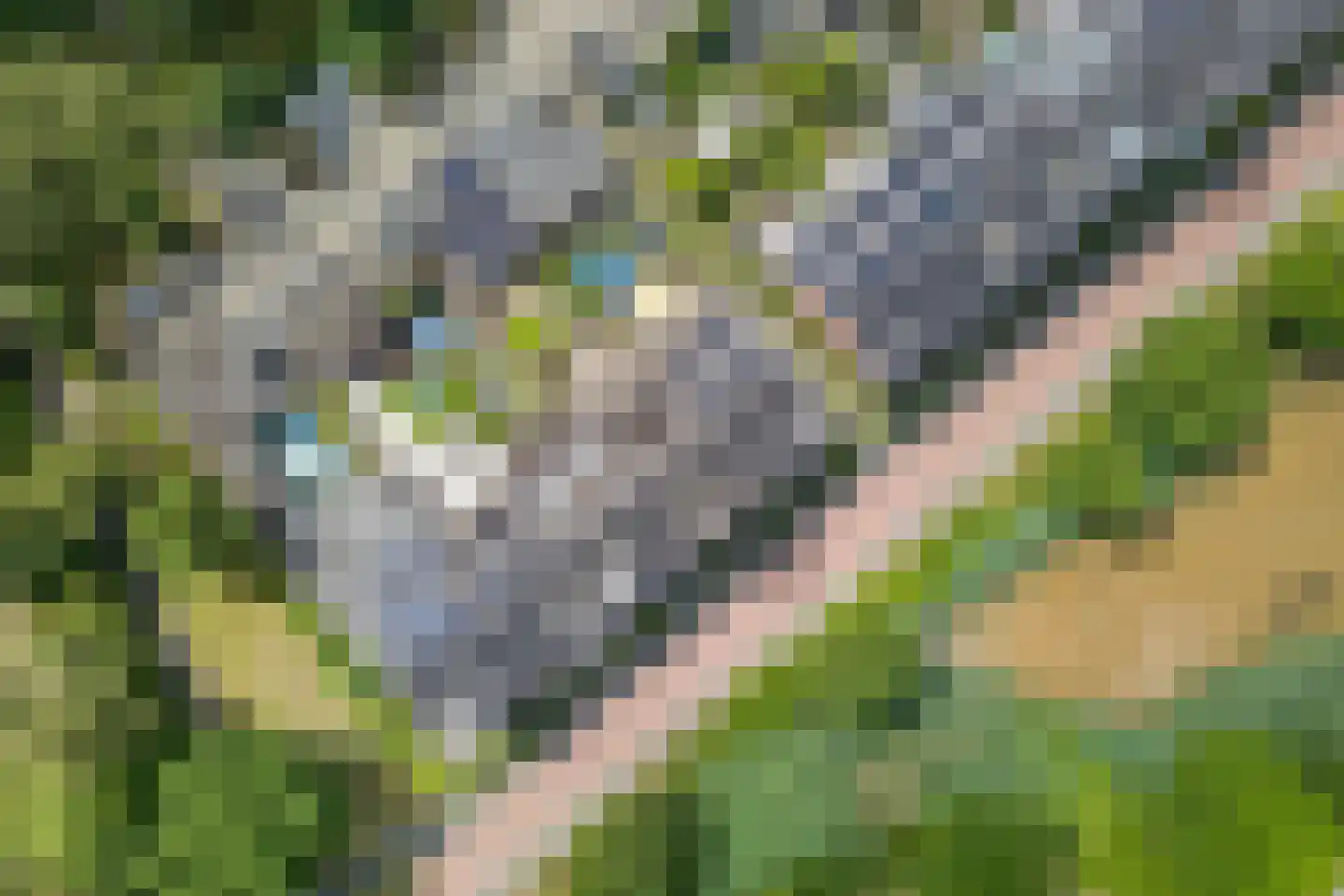 Schoonenburg 216 Ede thumbnail 46