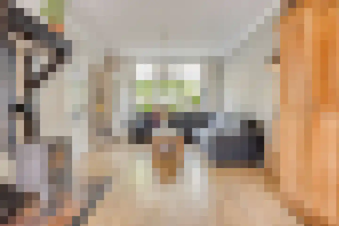 Schoonenburglaan 60 Nieuw-Lekkerland thumbnail 11