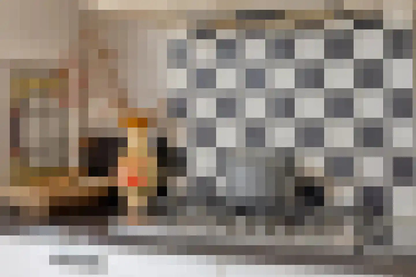 Schoonenburglaan 60 Nieuw-Lekkerland thumbnail 19