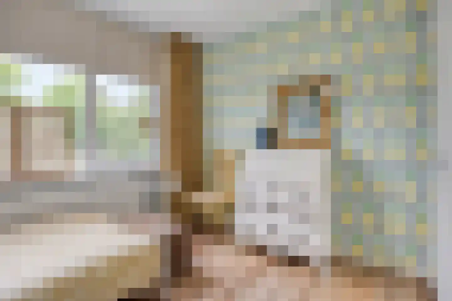 Schoonenburglaan 60 Nieuw-Lekkerland thumbnail 25