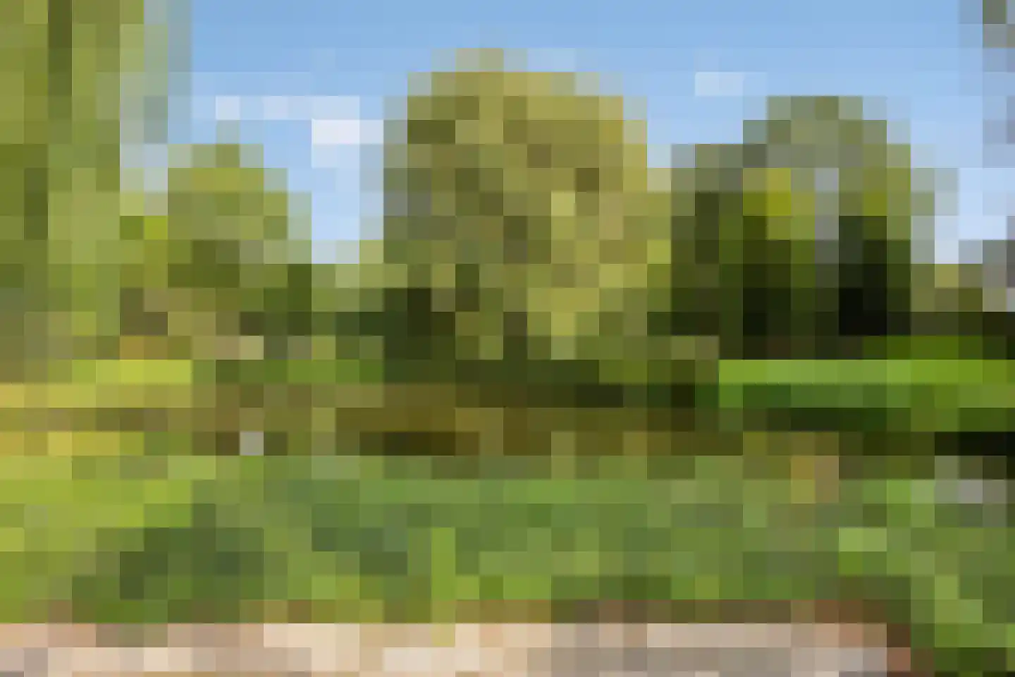 Schoonenburglaan 60 Nieuw-Lekkerland thumbnail 40