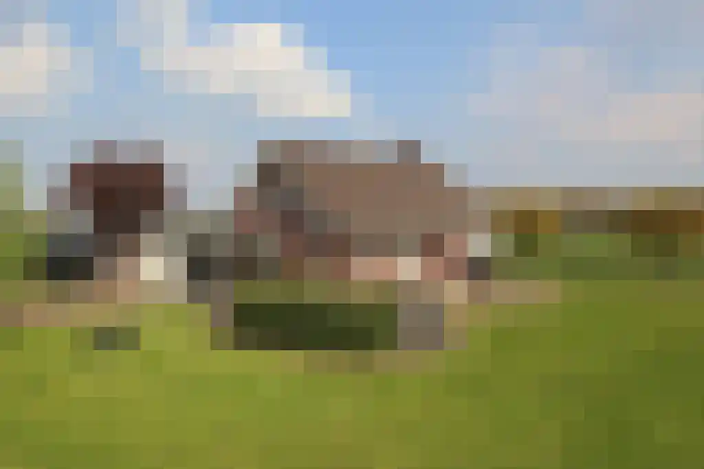 Schoonenburgseweg 28 in Overasselt