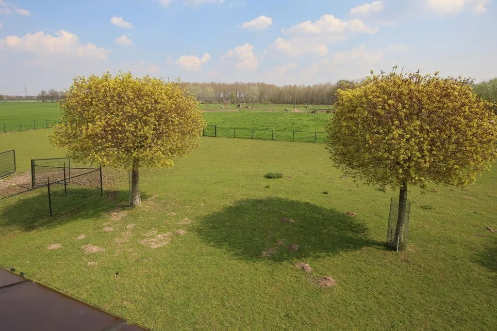 Schoonenburgseweg 28 Overasselt thumbnail 33
