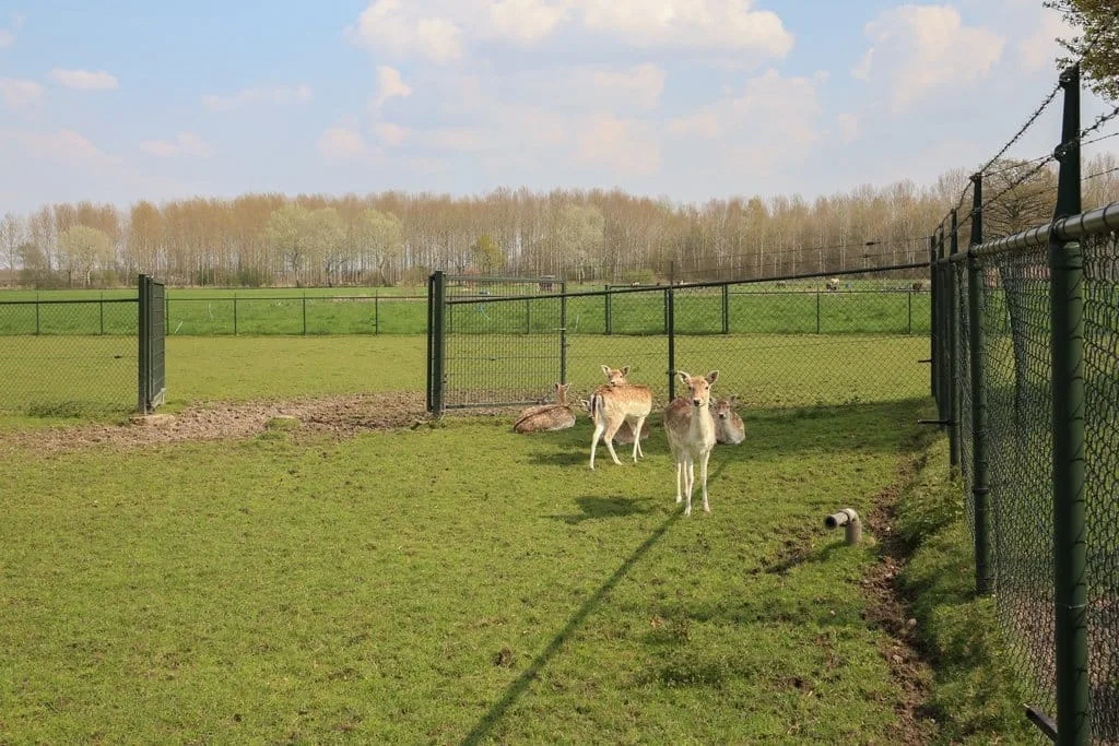 Schoonenburgseweg 28 Overasselt thumbnail 34