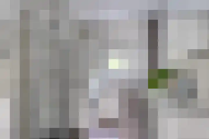 Schoonenburgsingel 22 Hoofddorp thumbnail 18