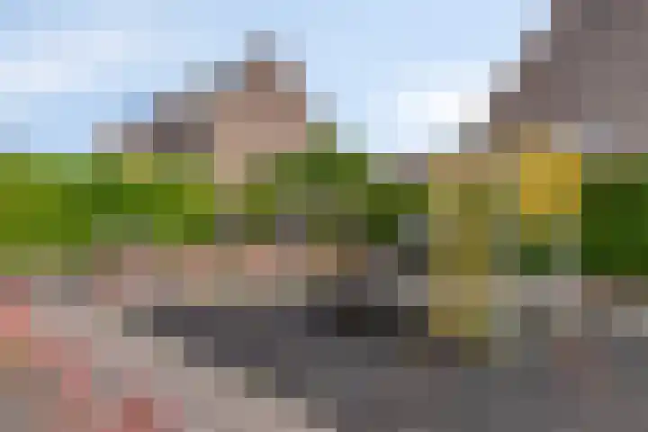 Schoonenburgsingel 22 Hoofddorp thumbnail 24