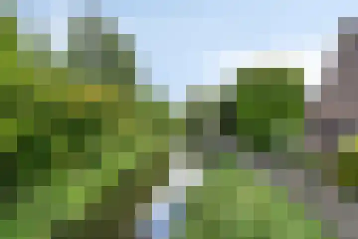 Schoonenburgsingel 22 Hoofddorp thumbnail 25