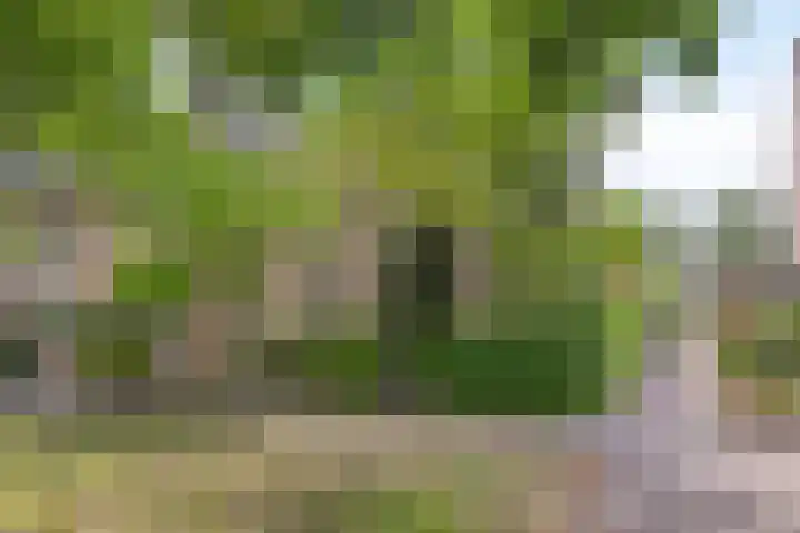 Schoonenburgsingel 22 Hoofddorp thumbnail 4