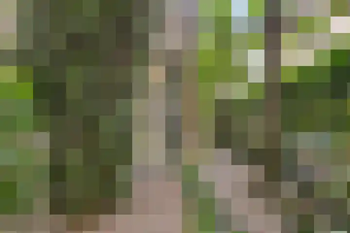 Schoonenburgsingel 22 Hoofddorp thumbnail 5