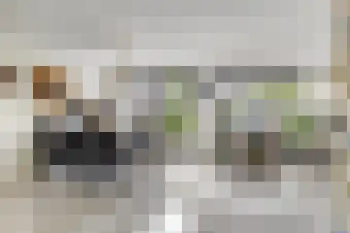 Schoonenburgsingel 22 Hoofddorp thumbnail 6