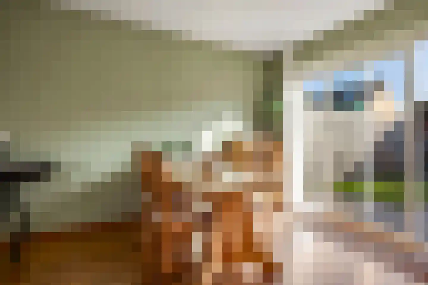 Schoonenburgsingel 64 Hoofddorp thumbnail 15