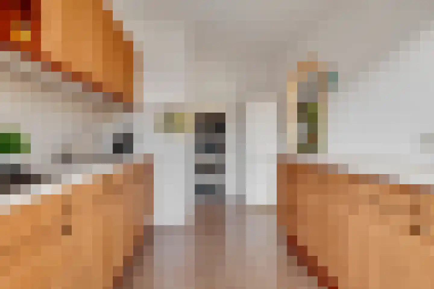 Schoonenburgsingel 64 Hoofddorp thumbnail 18