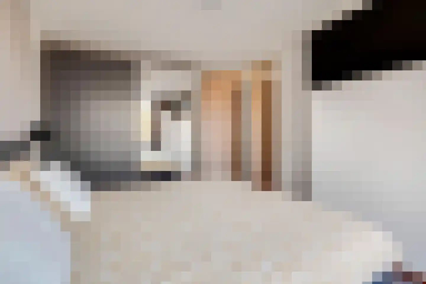 Schoonenburgsingel 64 Hoofddorp thumbnail 25