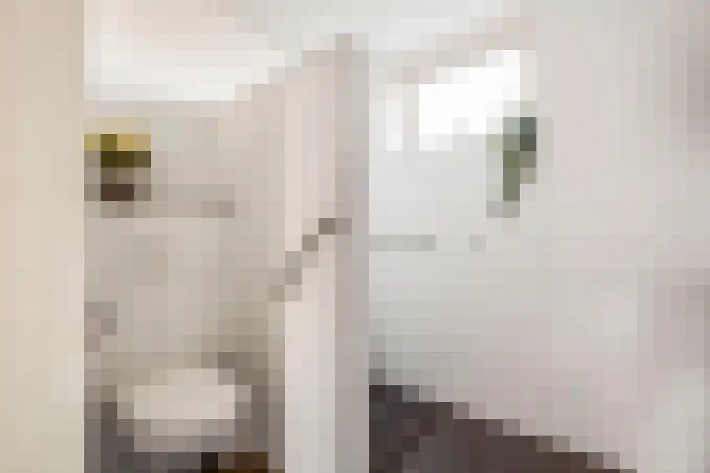 Schoonenburgsingel 64 Hoofddorp thumbnail 34
