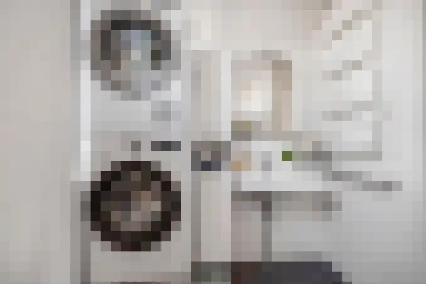 Schoonenburgsingel 64 Hoofddorp thumbnail 36