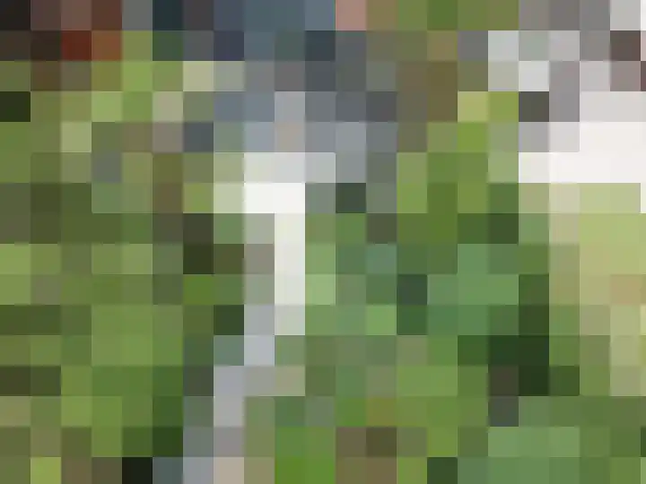 Schoonenburgsingel 71 Hoofddorp thumbnail 25