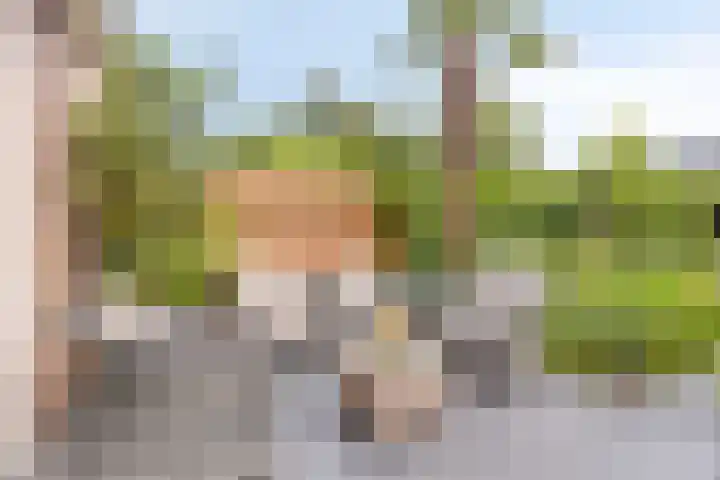 Schoonenburgsingel 71 Hoofddorp thumbnail 27