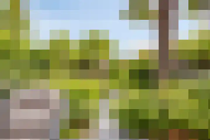 Schoonenburgsingel 71 Hoofddorp thumbnail 28