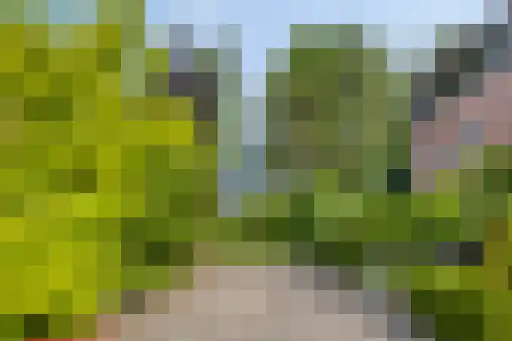 Schoonenburgsingel 71 Hoofddorp thumbnail 32