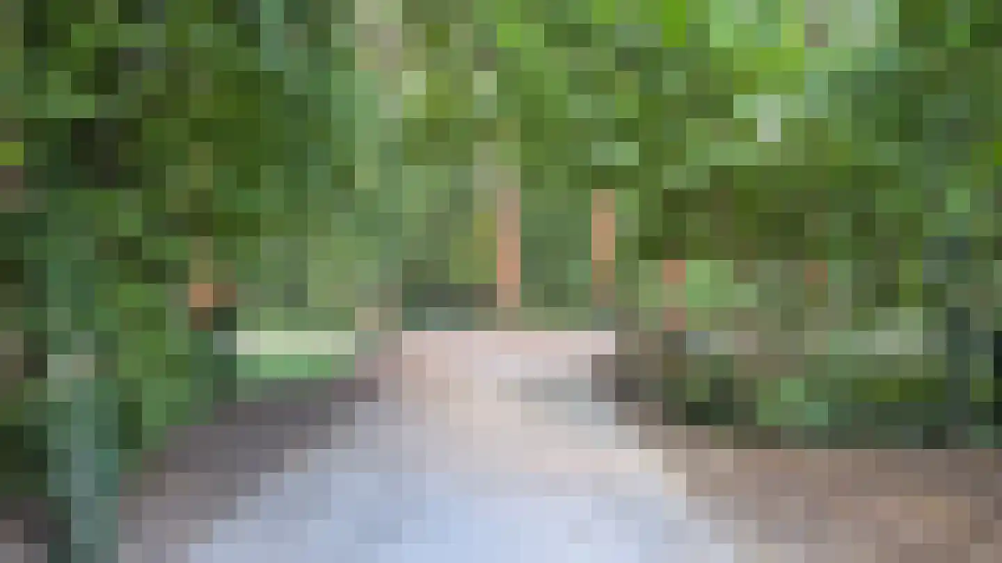 Schoonhetenseweg 6 c Mariënheem thumbnail 12