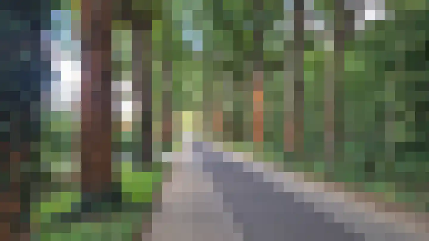 Schoonhetenseweg 6 c Mariënheem thumbnail 13