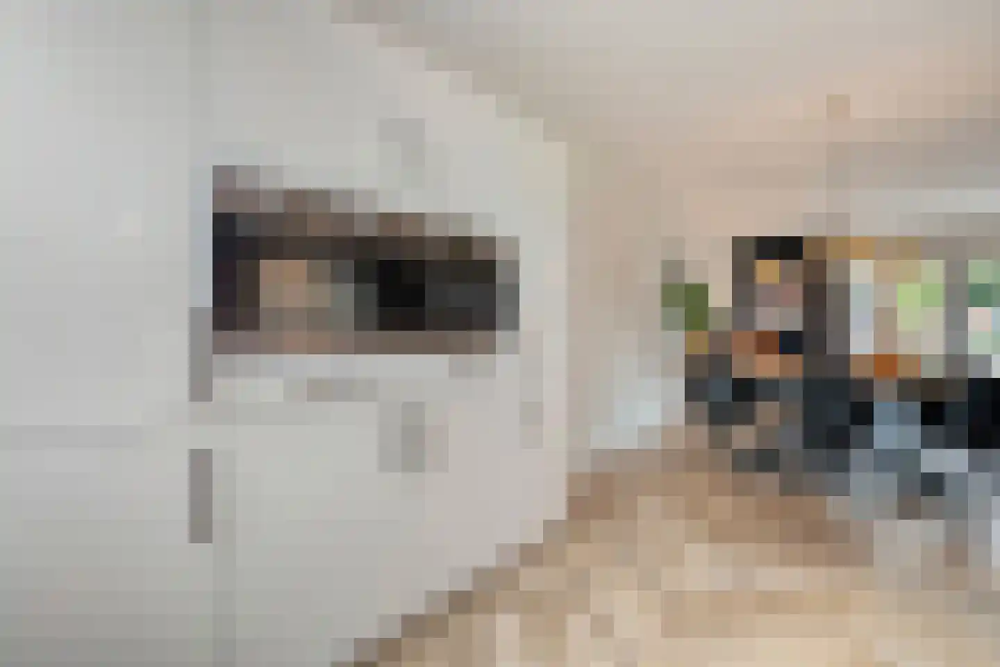 Schoonhetenstraat 15 Zwolle thumbnail 14