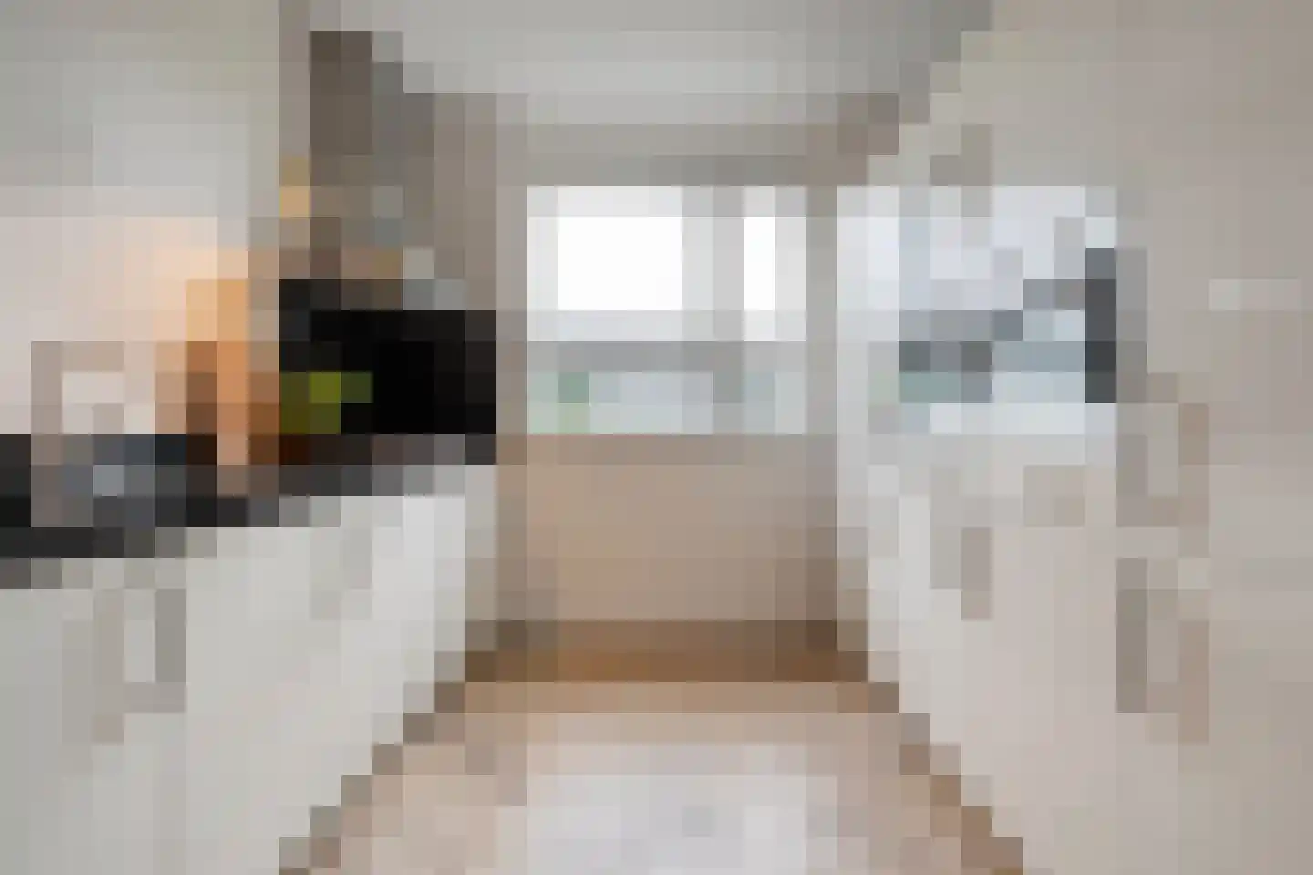 Schoonhetenstraat 15 Zwolle thumbnail 15