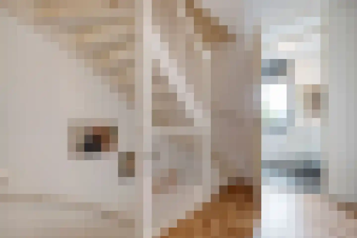Schoonhetenstraat 15 Zwolle thumbnail 18