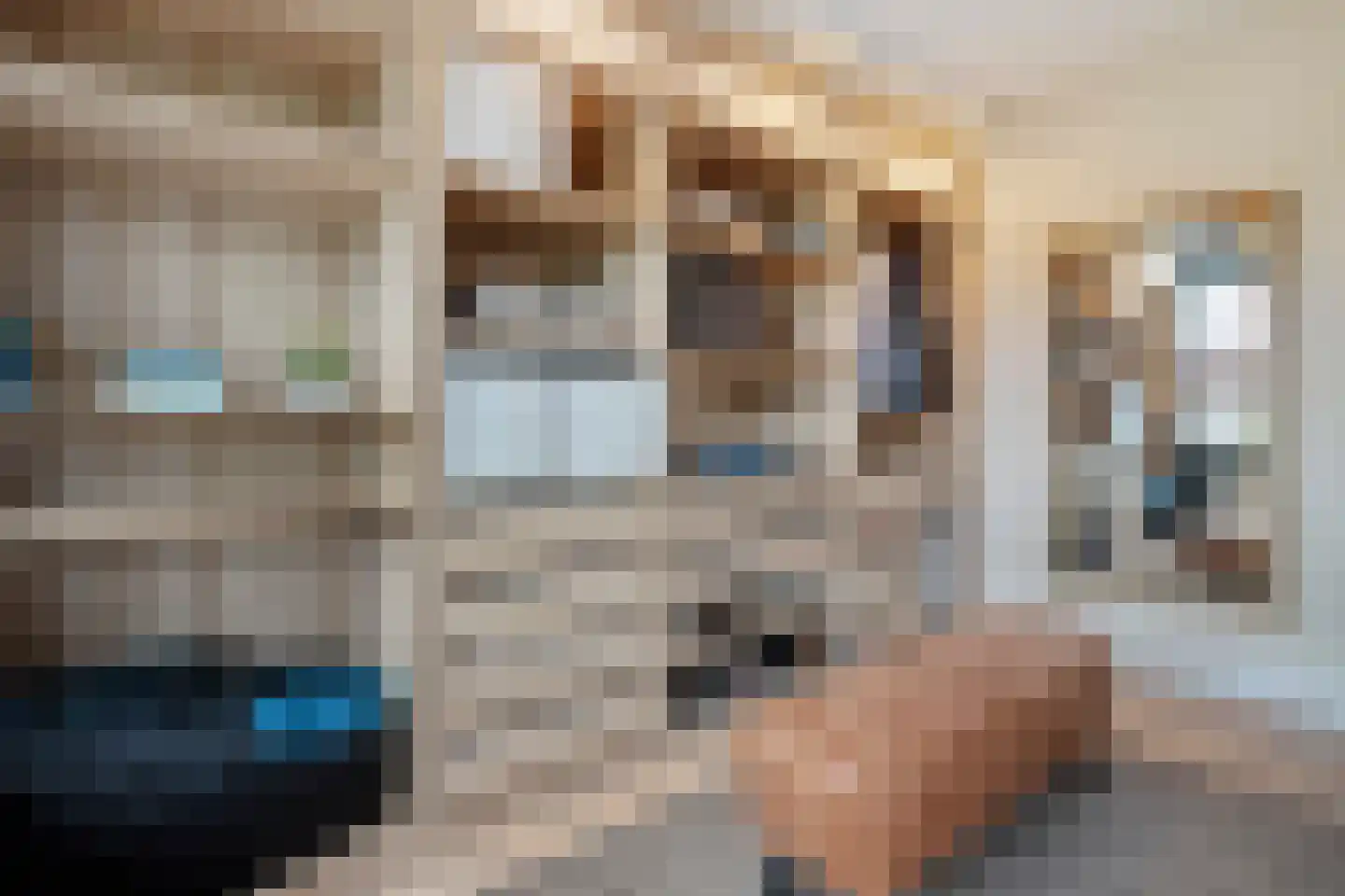 Schoonhetenstraat 15 Zwolle thumbnail 22