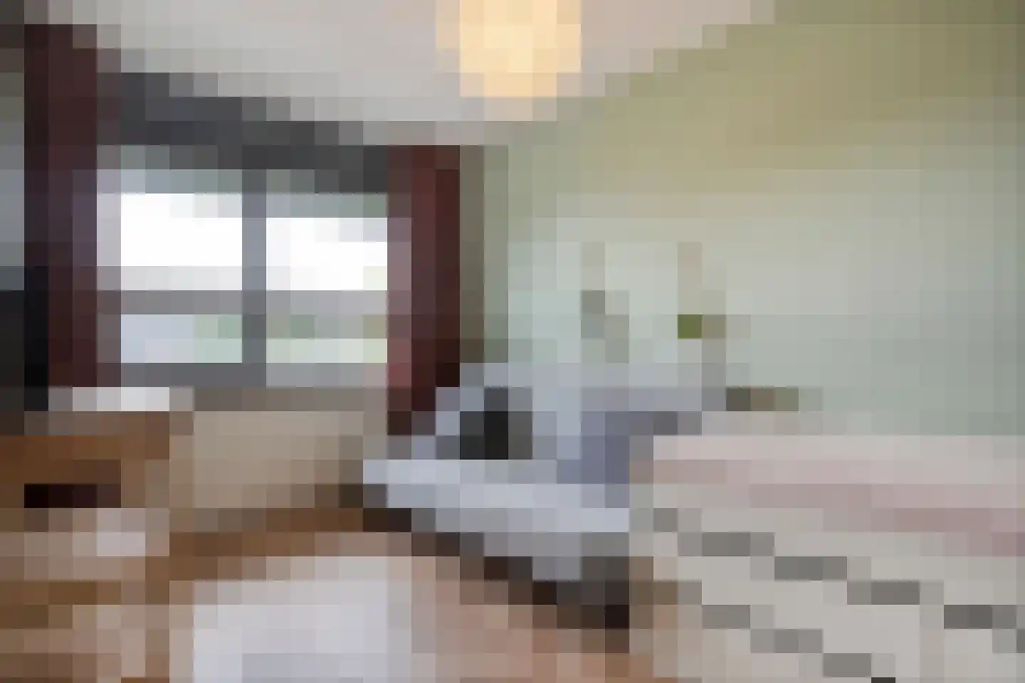 Schoonhetenstraat 15 Zwolle thumbnail 26