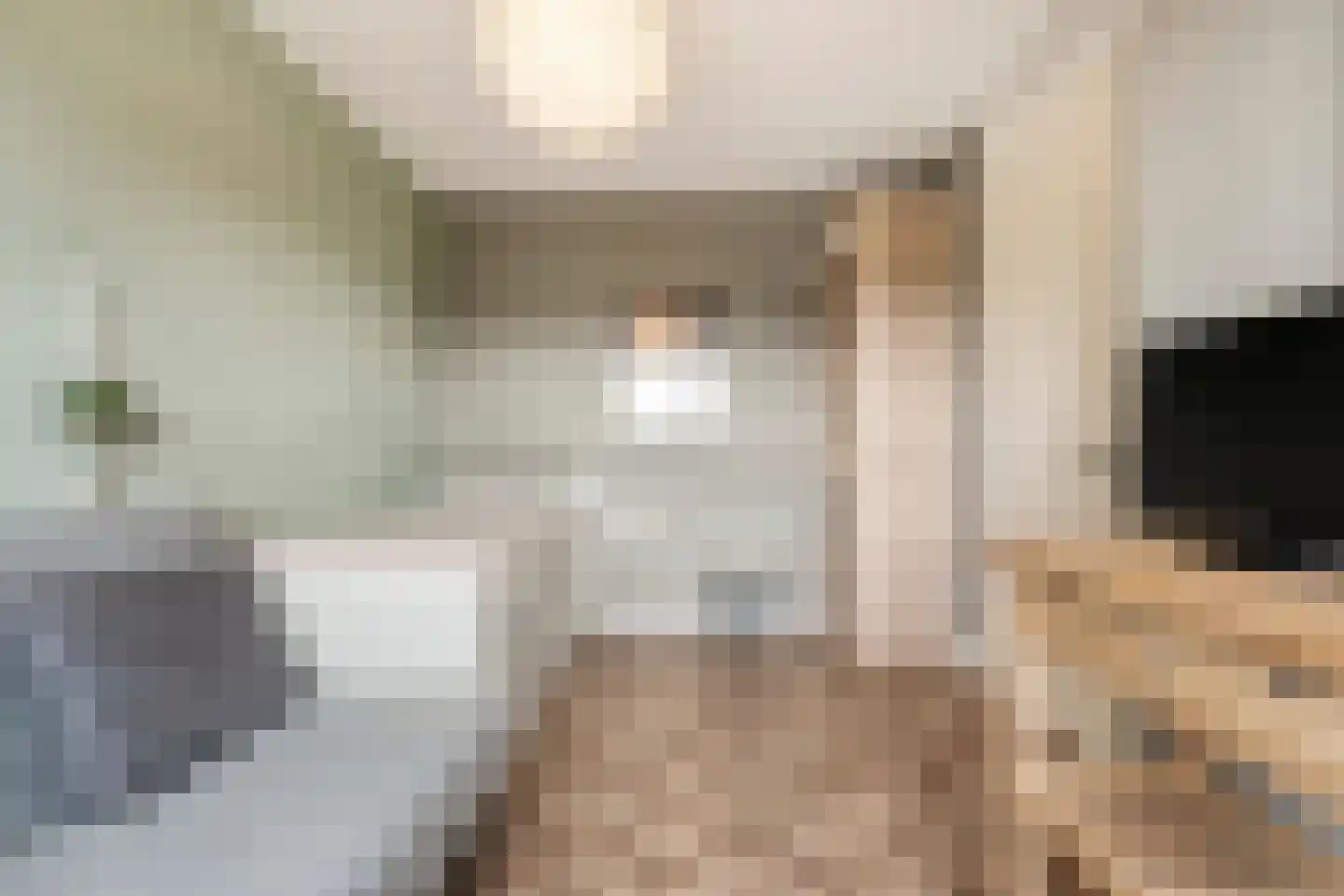 Schoonhetenstraat 15 Zwolle thumbnail 27