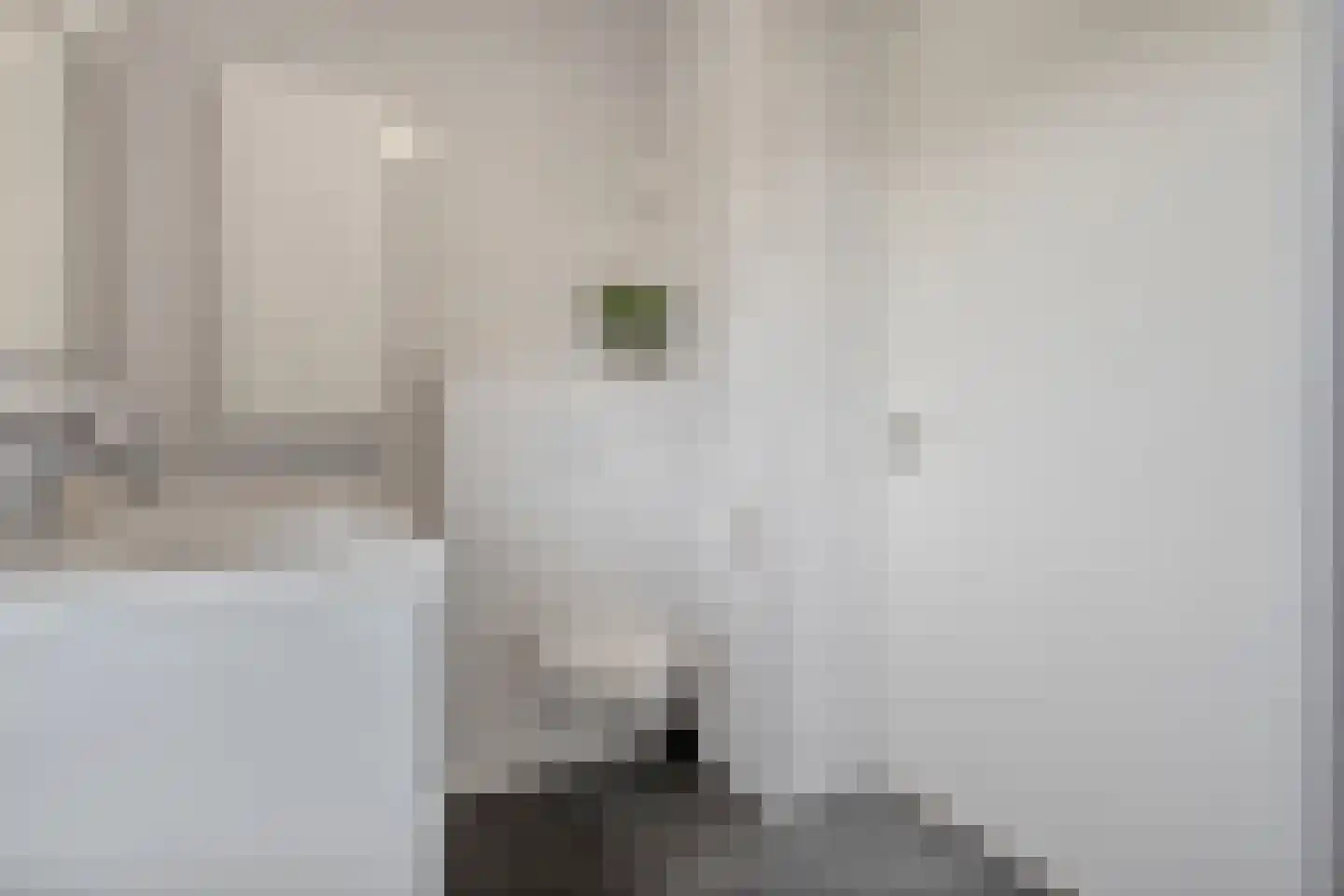 Schoonhetenstraat 15 Zwolle thumbnail 29