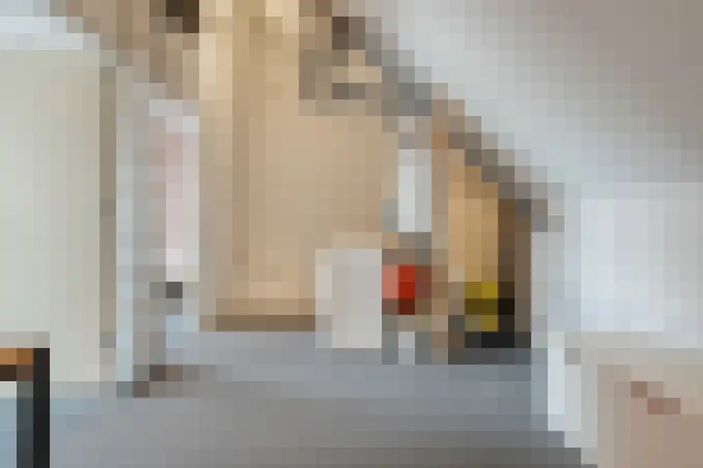 Schoonhetenstraat 15 Zwolle thumbnail 33