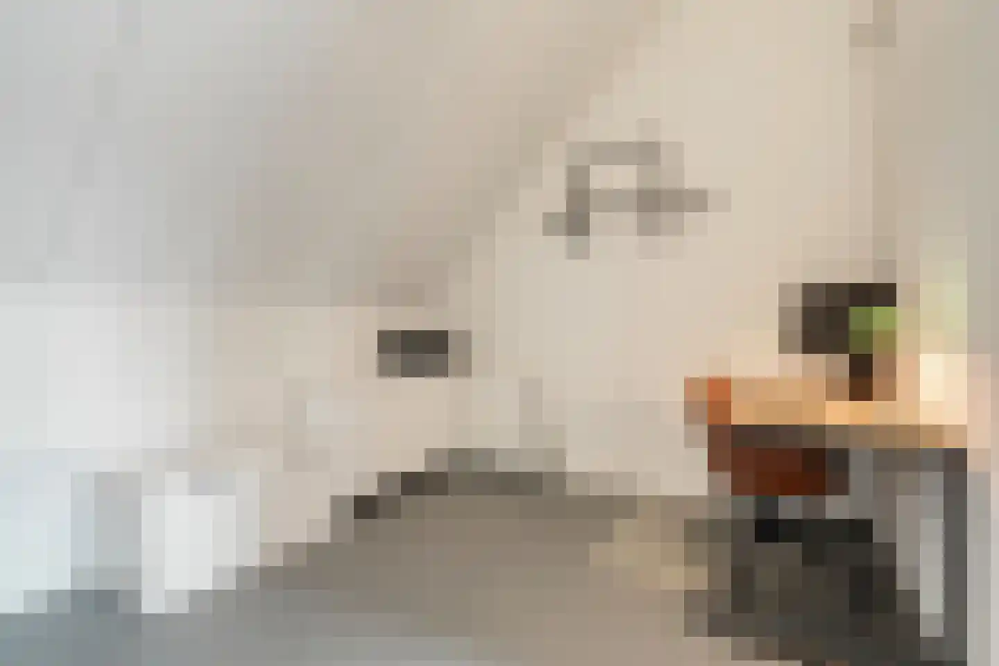 Schoonhetenstraat 15 Zwolle thumbnail 34