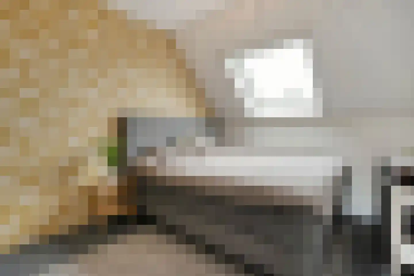 Schoonhetenstraat 15 Zwolle thumbnail 36