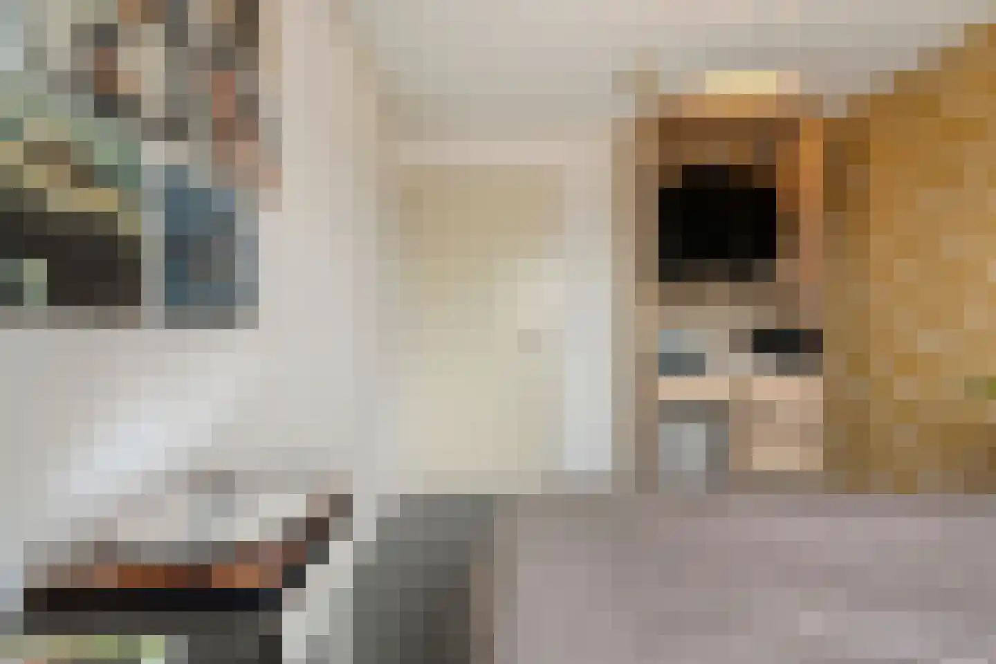 Schoonhetenstraat 15 Zwolle thumbnail 37