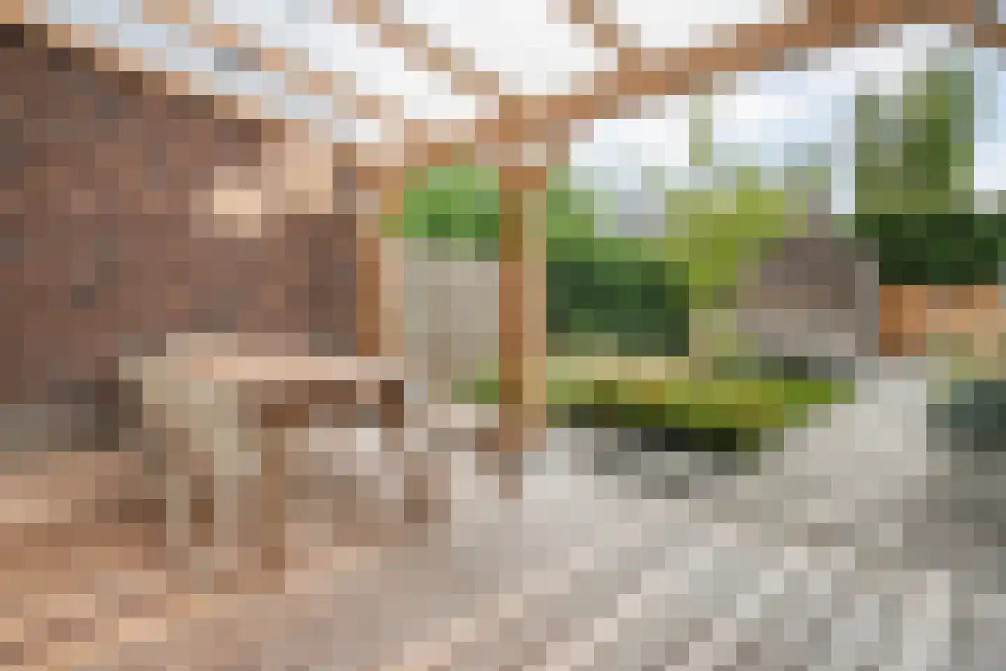 Schoonhetenstraat 15 Zwolle thumbnail 41